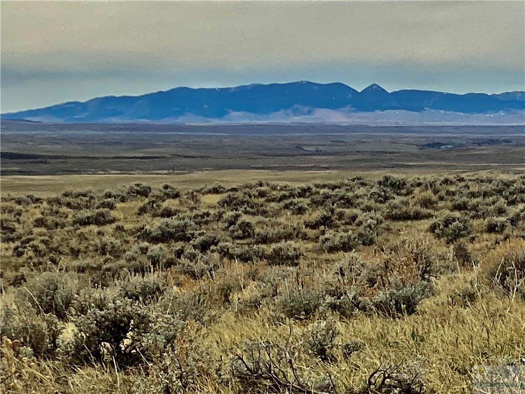 0 Wilder Trail - Photo 1