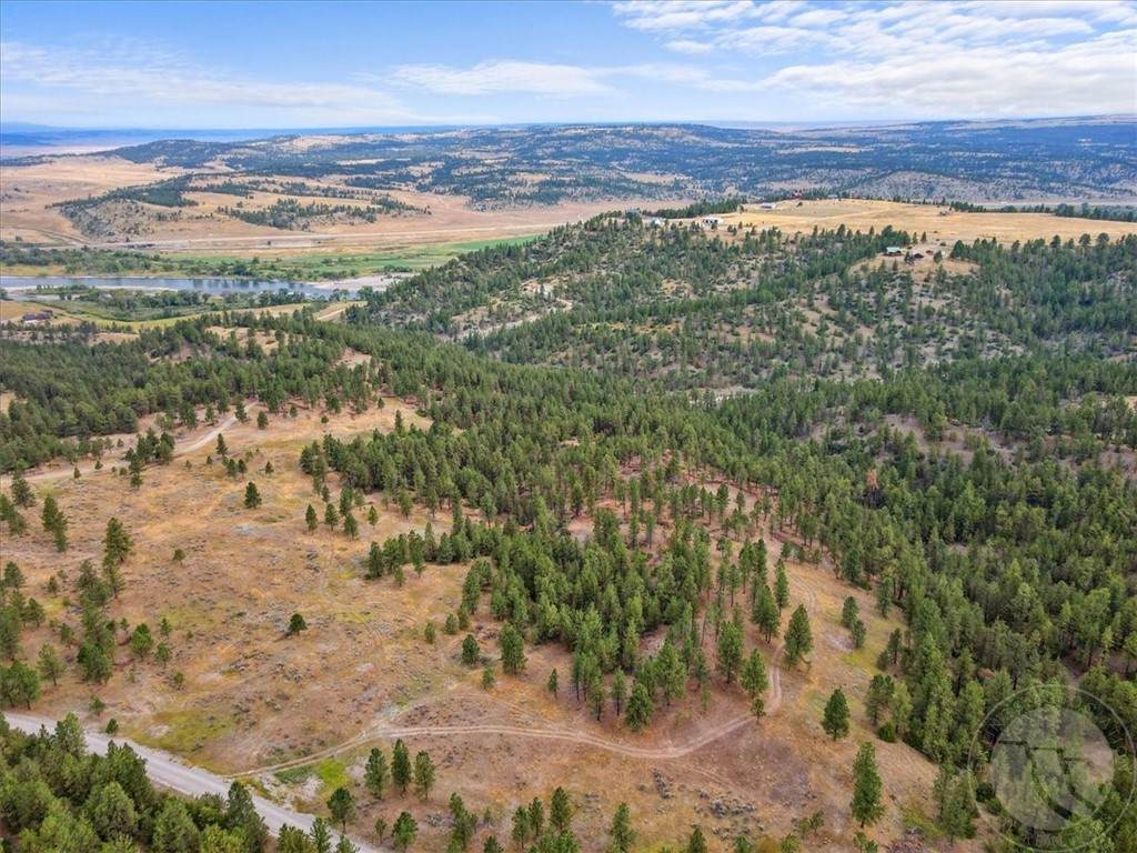 TBD Cougar Trail - Photo 1