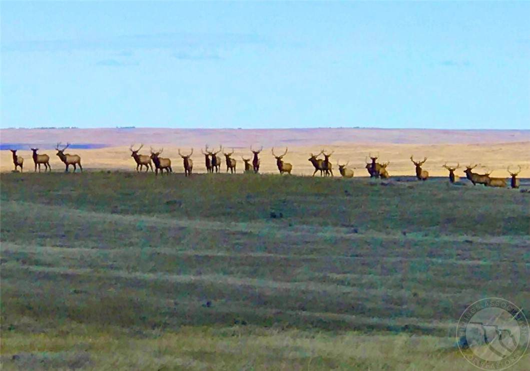 0 79 Trail - Photo 1