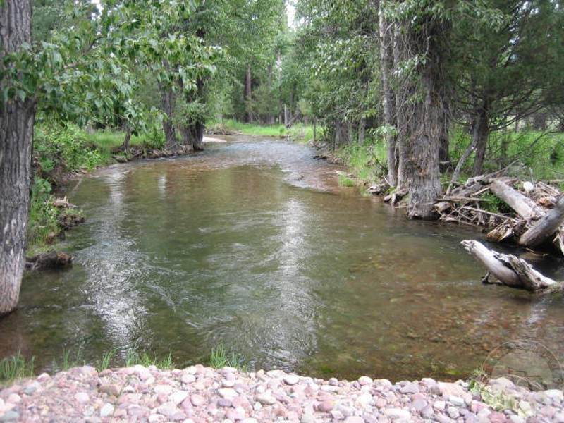 2980 Hwy 83 N, Seeley Lake - Photo 1