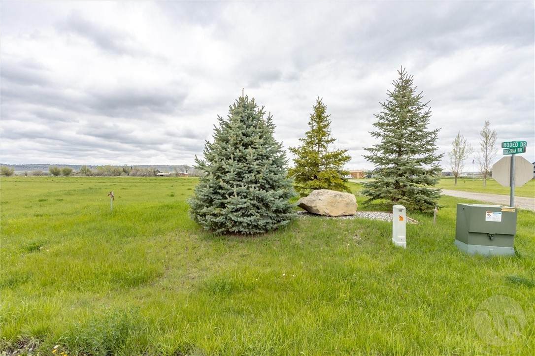 00 Rodeo Drive - Photo 1