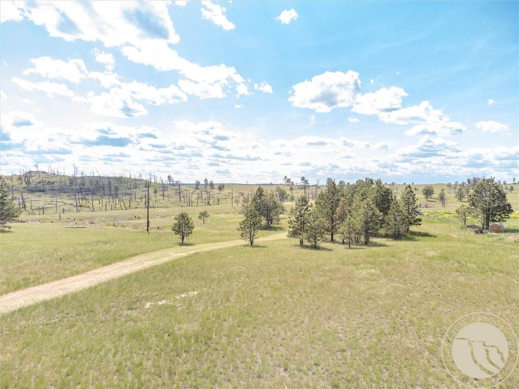 213 Painted Horse Trail - Photo 1