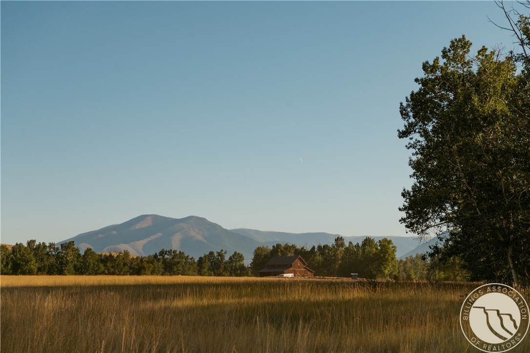 308 Two Mile Bridge Road - Photo 1