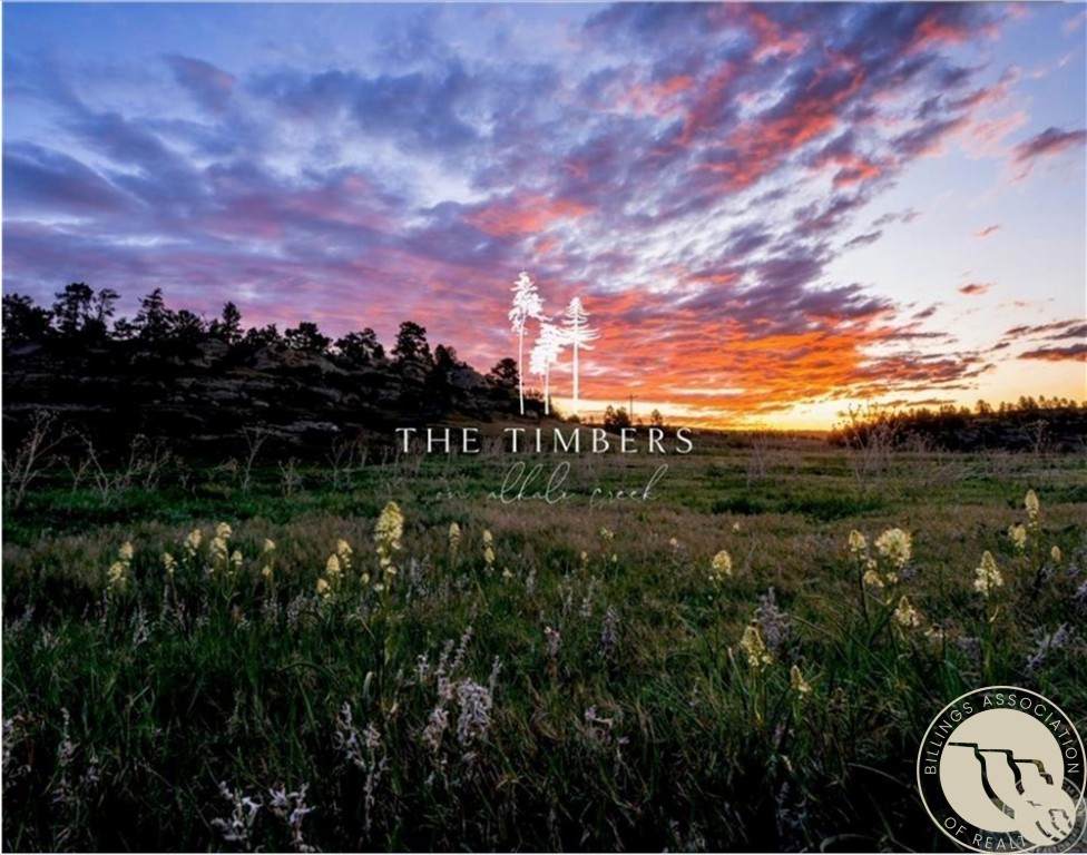 LOT 54 Timbers Boulevard - Photo 1