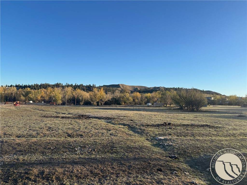 0 Blue Creek Road - Photo 1