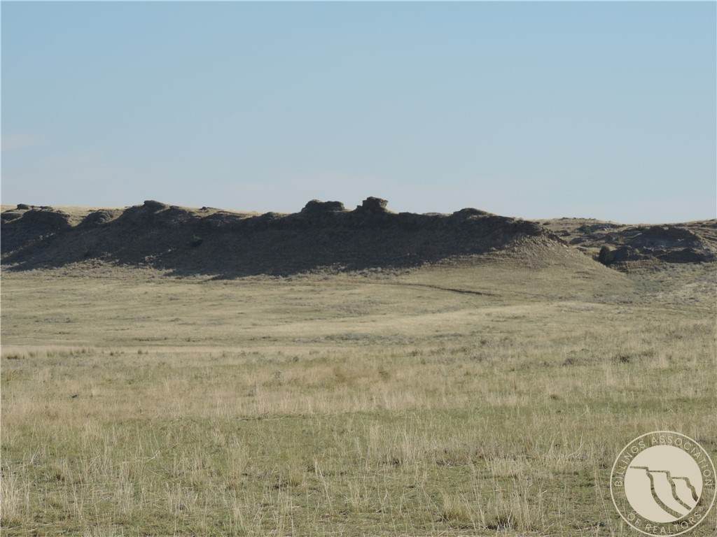 Molt-Rapelje Road Molt-Rapelje Road - Photo 1