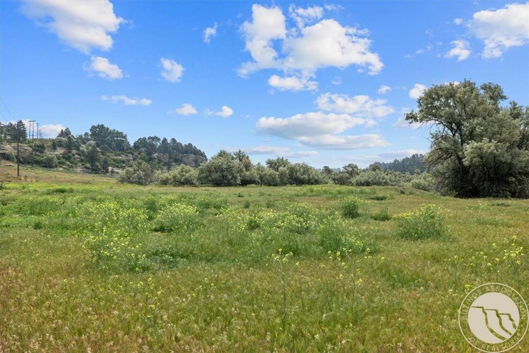 Lot C Alkali Creek Road - Photo 1