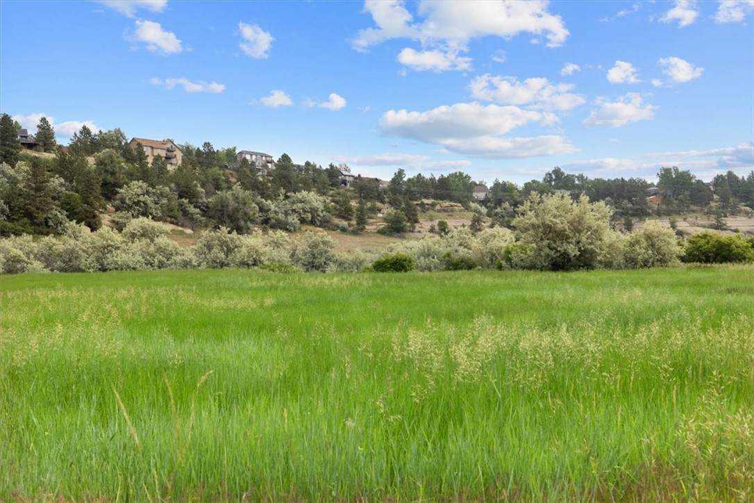 Lot D Alkali Creek Road - Photo 1
