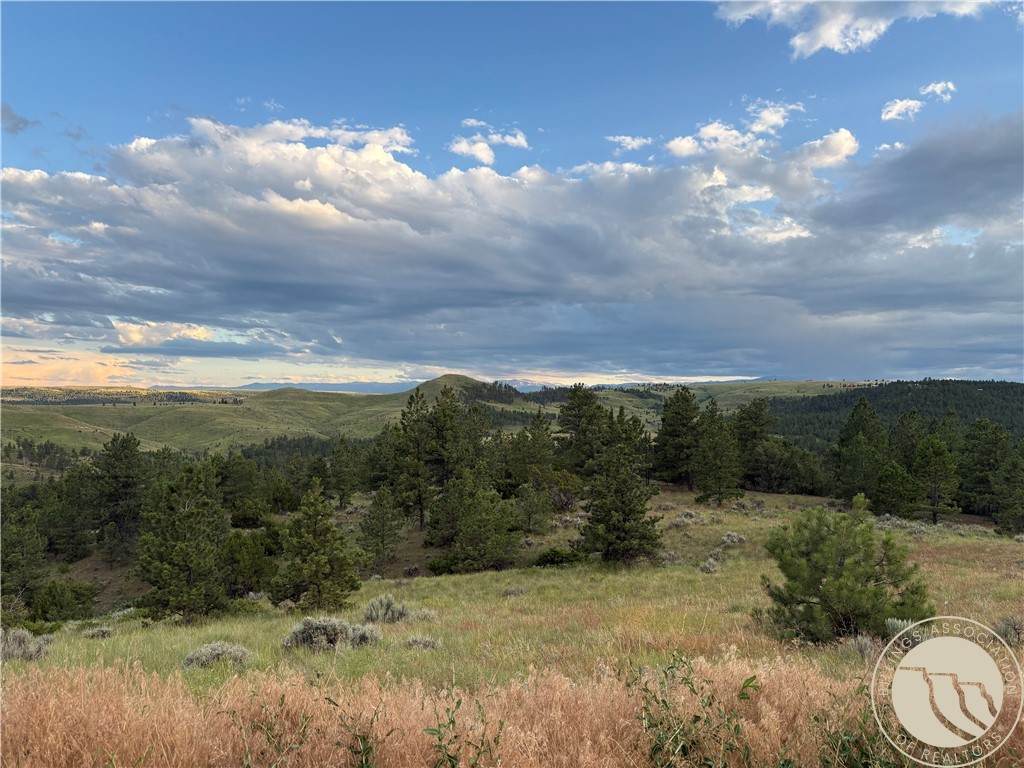 Lot 94 Owl Canyon Road - Photo 1