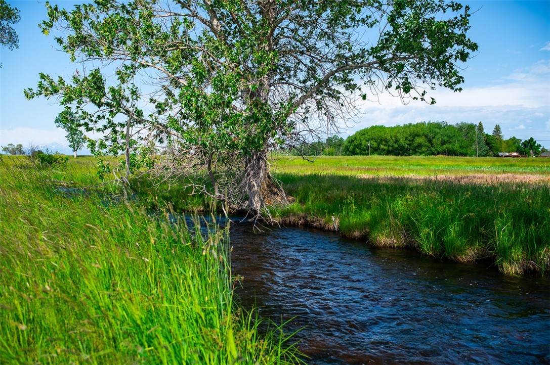 120 Cooney Rd - Photo 1