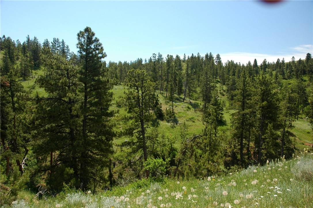 NHN Lone Rock Canyon - Photo 1