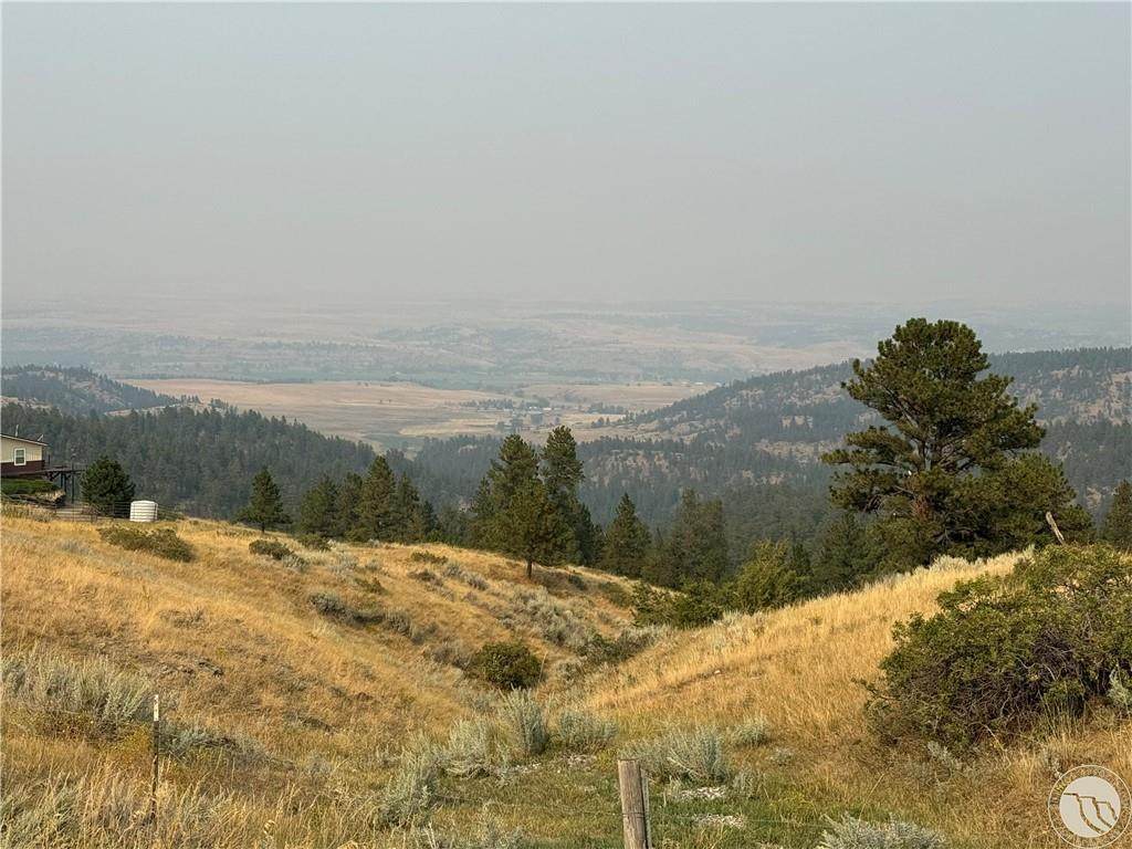 TBD Antelope Drive - Photo 1