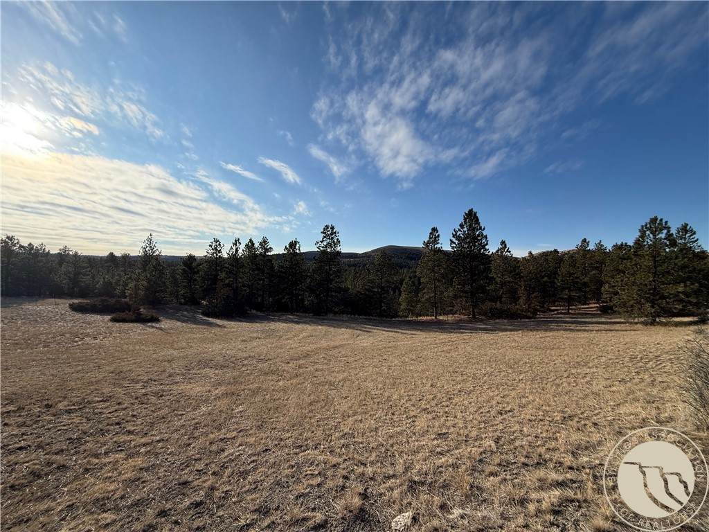 42 Bozeman Trail - Photo 1