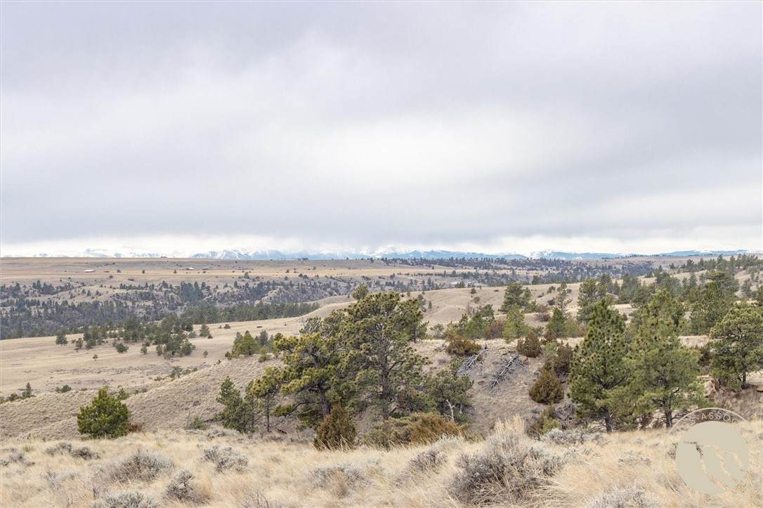 00 Rocky Ridge Road - Photo 1