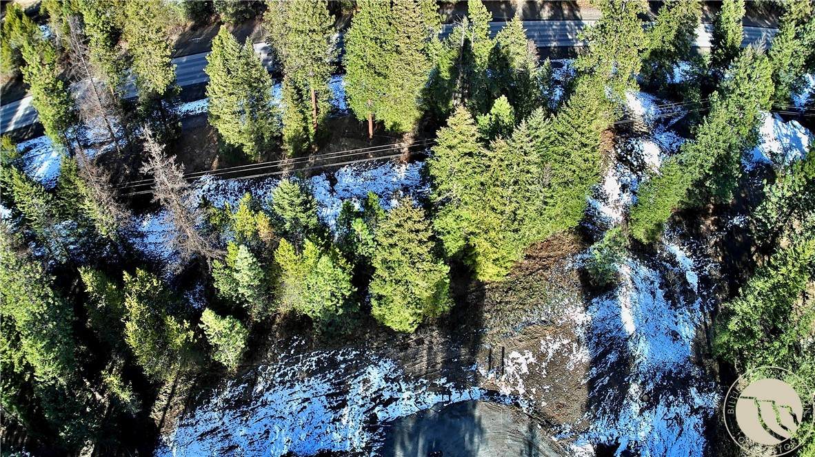 2517 Mossy Court - Photo 1