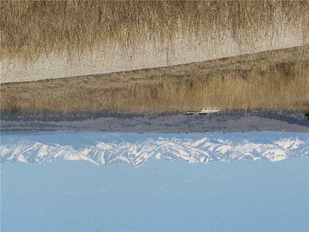 Lot 6 Shane Ridge Road - Photo 1