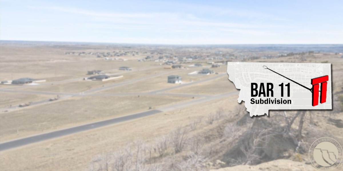B4 L17 Big Cedar Way - Photo 1