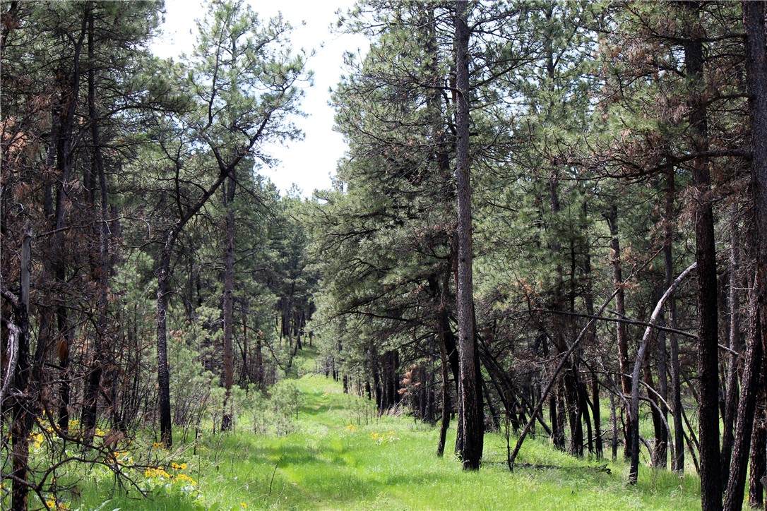 nhn Deer Lane - Photo 1