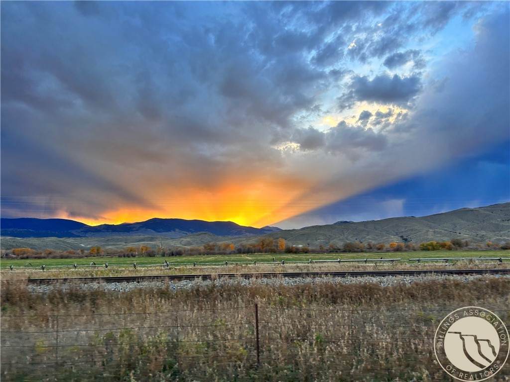 263 Bovine Way - Photo 1