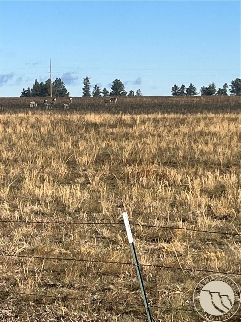 647 Majerus - Lot 1 Road - Photo 1