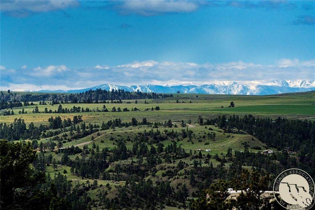 https://bt-photos.global.ssl.fastly.net/billings/orig_boomver_1_359534-2.jpg