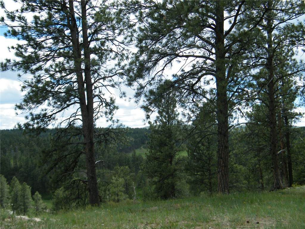 https://bt-photos.global.ssl.fastly.net/billings/orig_boomver_1_360225-2.jpg