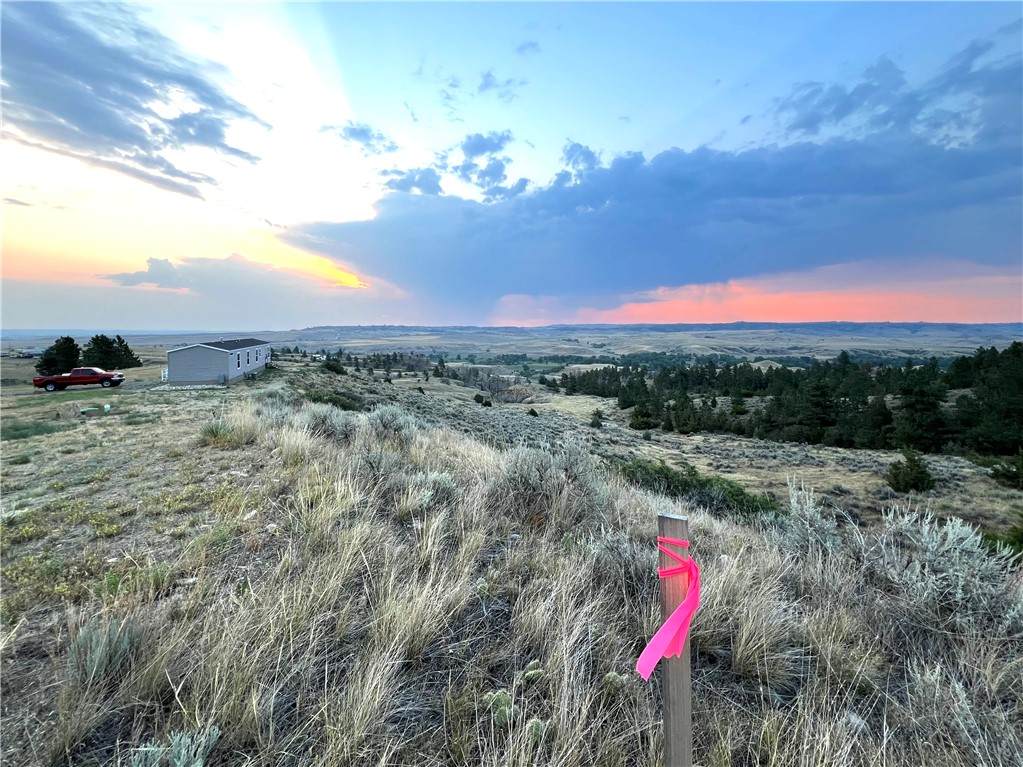 6834 Shooters Bluff - Photo 1