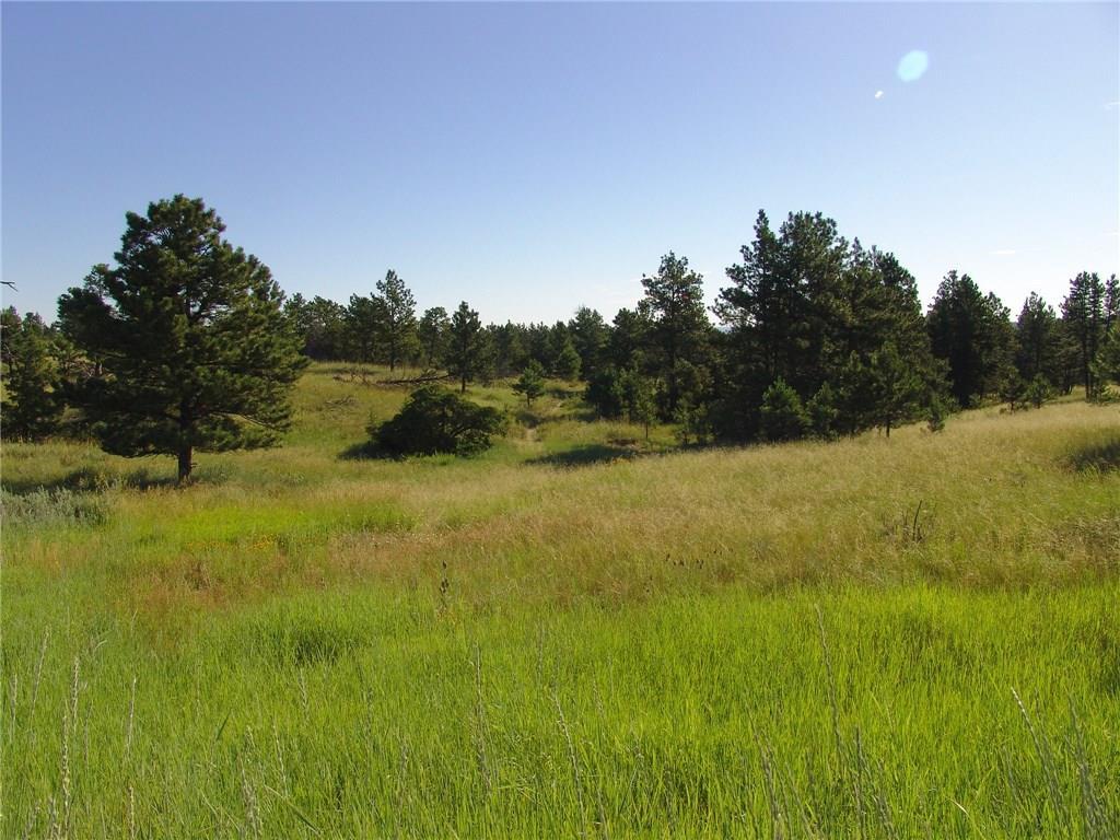 61 Winchester - Photo 1