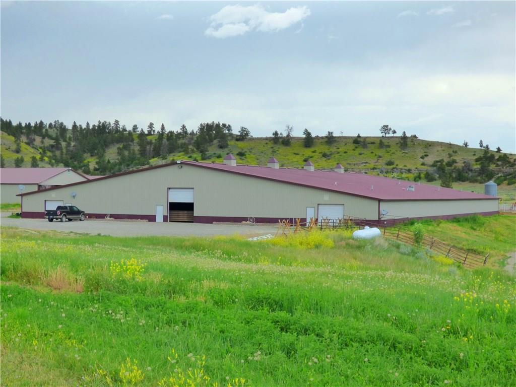 390 Rapelje Road - Photo 1