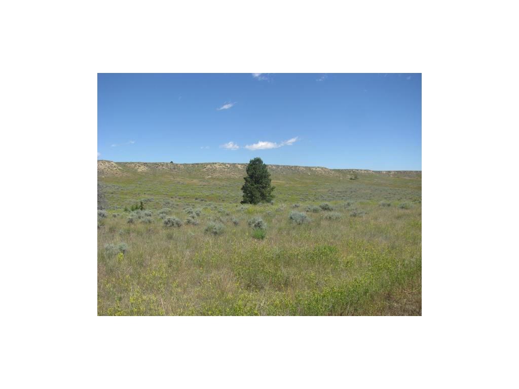 Lot 49 Snowflake - Photo 1
