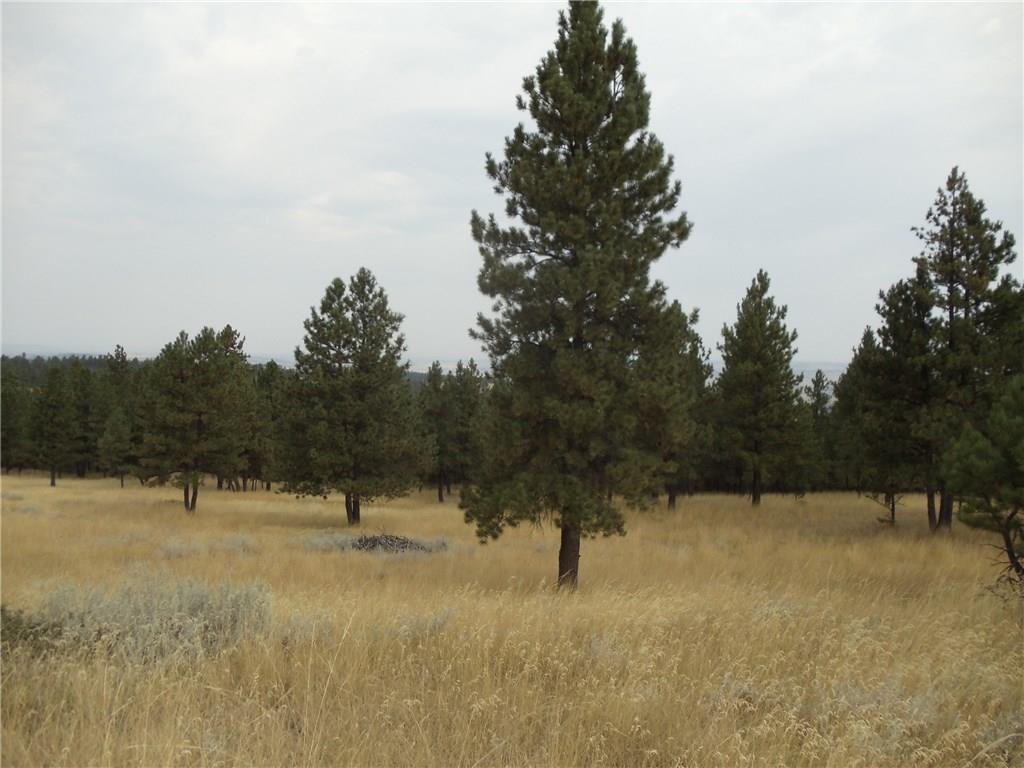 9 Shane Ridge Road - Photo 1