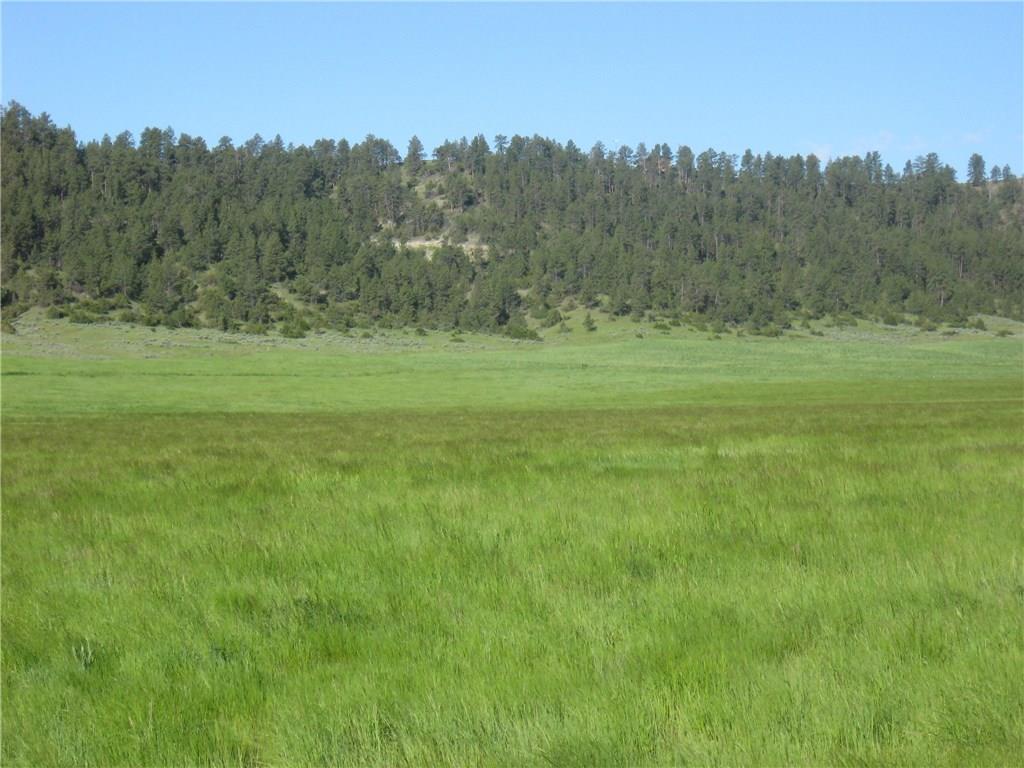 176 Balfour Loop - Photo 1