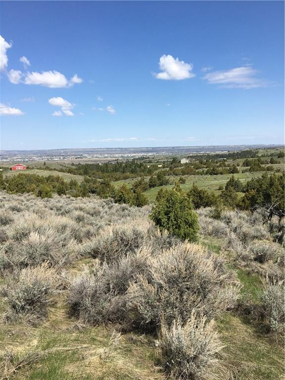 0 Thunder Ridge Road - Photo 1