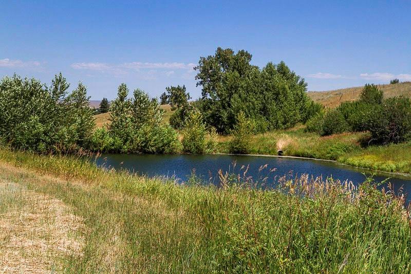 LOT 17 Paradise Meadows - Photo 1