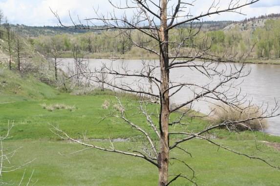 245 Owl Canyon Road - Photo 1