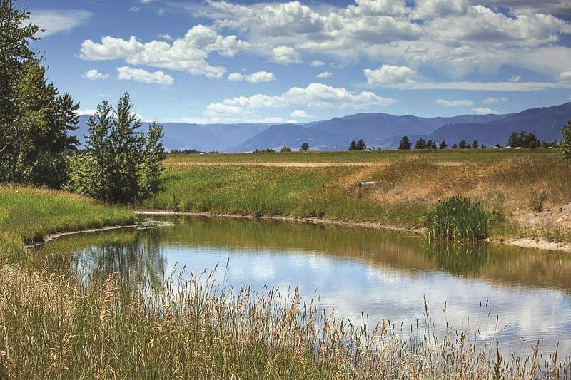 LOT 46 Paradise Meadows - Photo 1