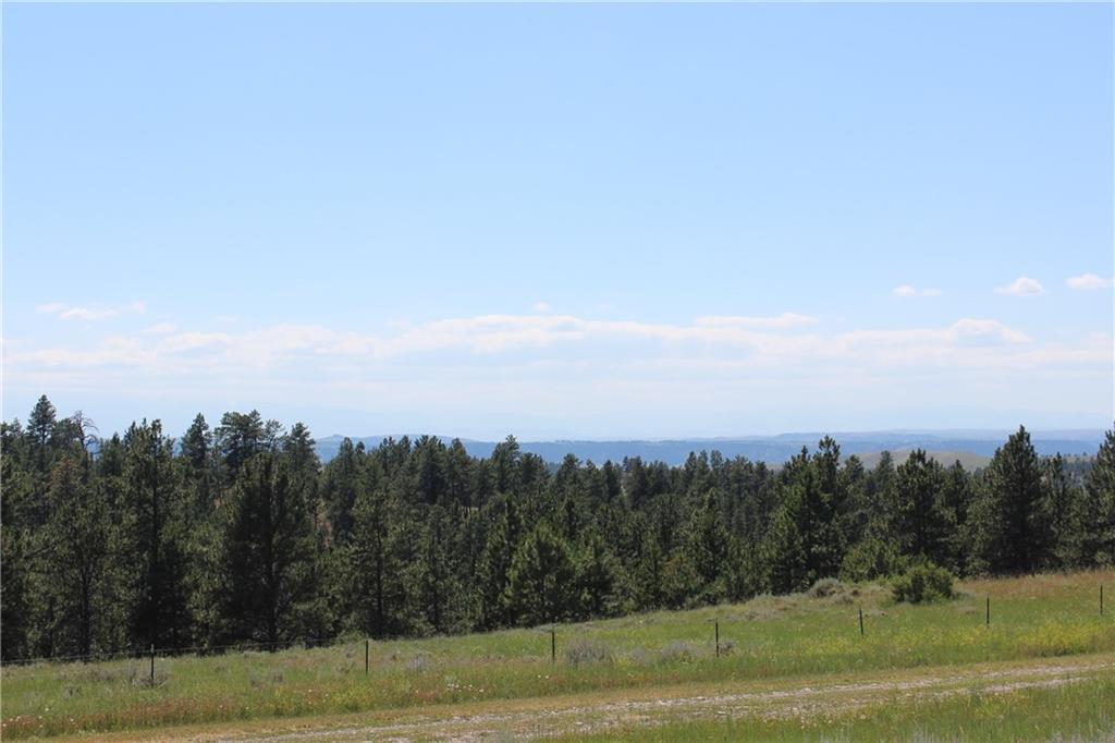 Lot 130 Bugling Elk Lane - Photo 1