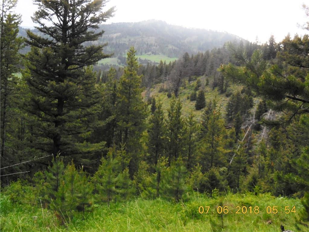TBD Mountain Elk Road, Bozeman - Photo 1