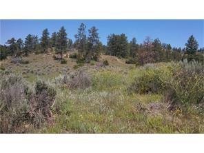 lot 8 Jack Rabbit - Photo 1