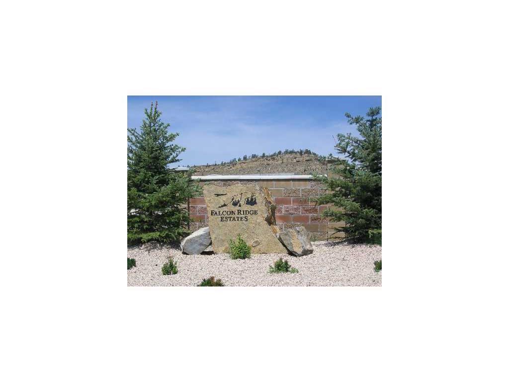 3116 Falcon Circle - Photo 1