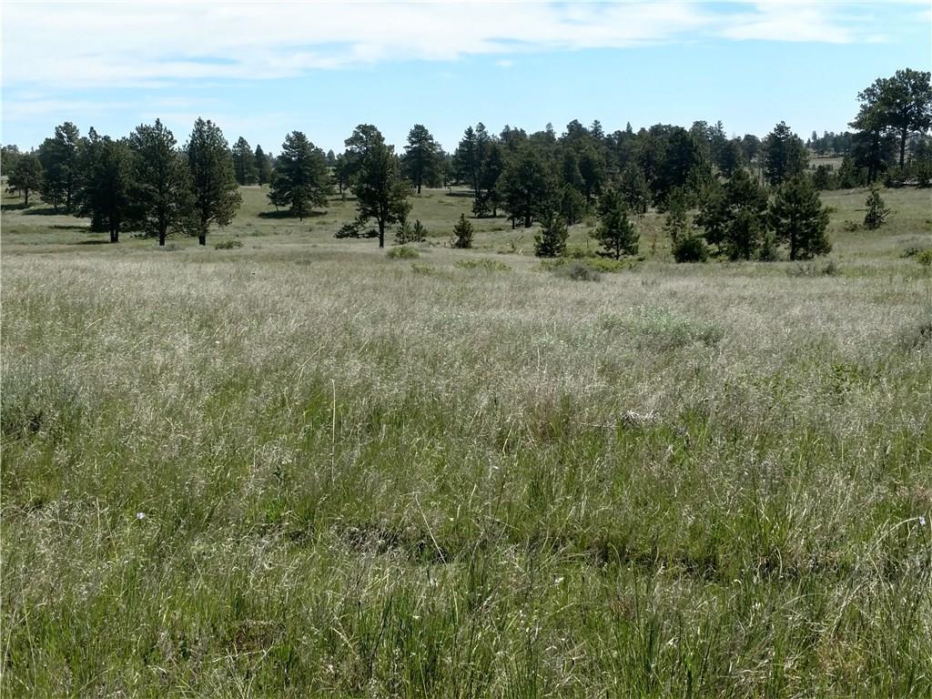 568 Bundy - Photo 1