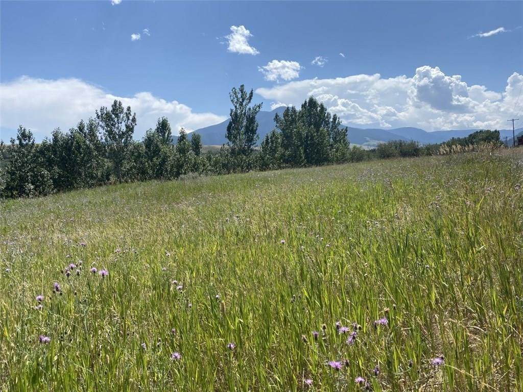 Lot 1A Beartooth Mountain Estates - Photo 1