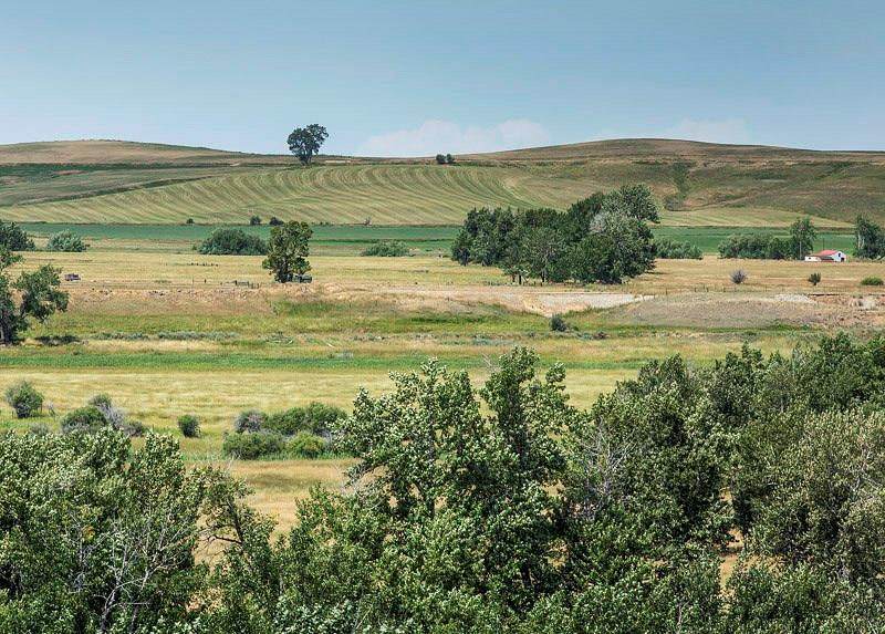 LOT 17 Paradise Meadows - Photo 1