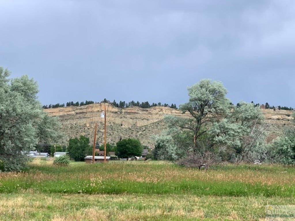 4741 Gold Creek Trail - Photo 1
