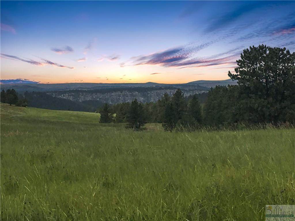 Lot 7 Shane Ridge Rd - Photo 1