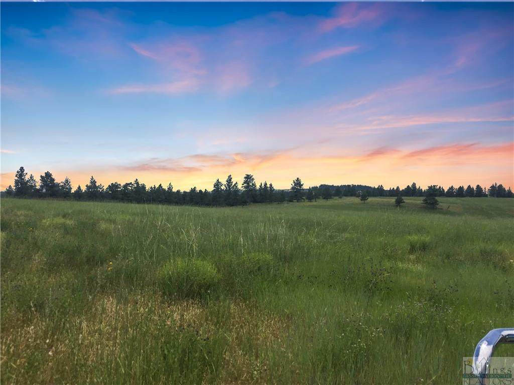 Lot 3 Shane Ridge Rd - Photo 1