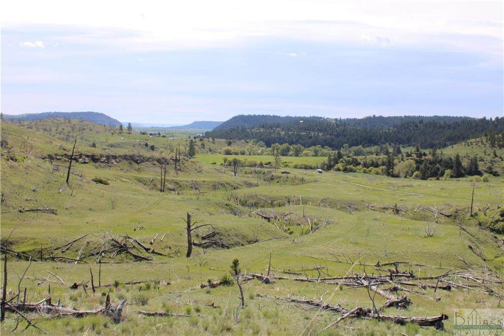 LOT 197 Coyote Pass - Photo 1