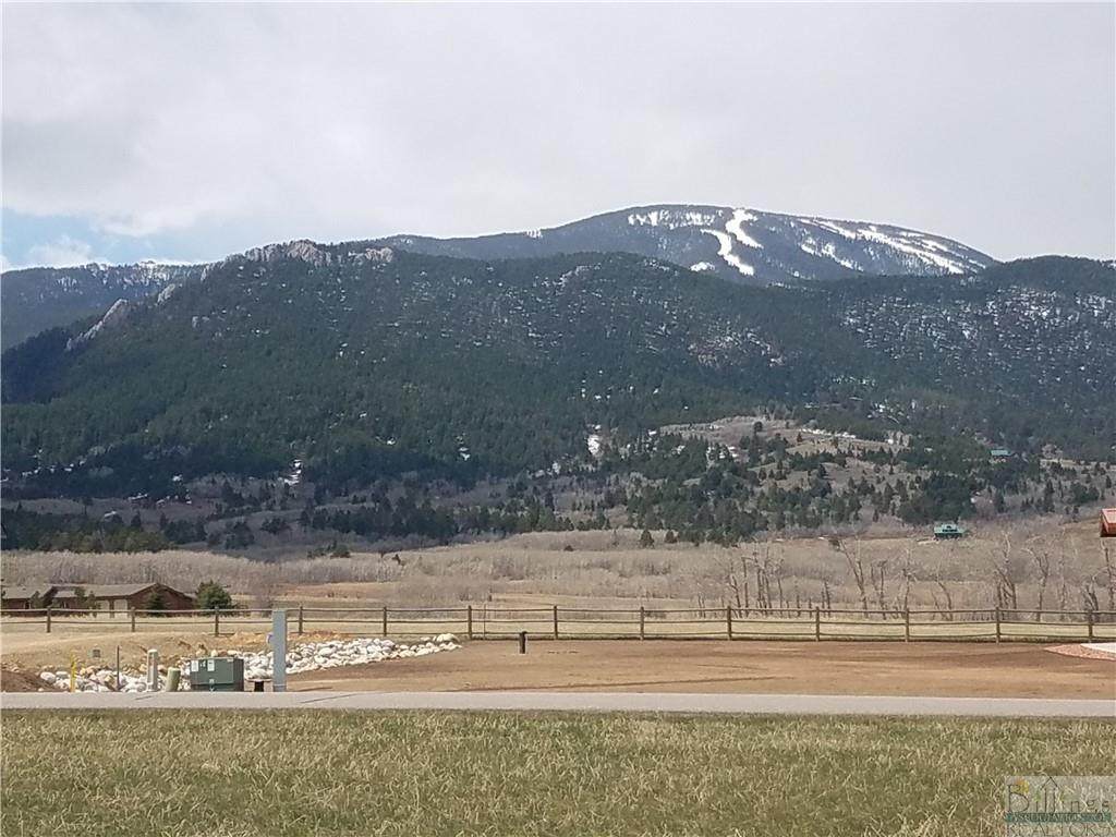 81 Big Sky Drive - Photo 1