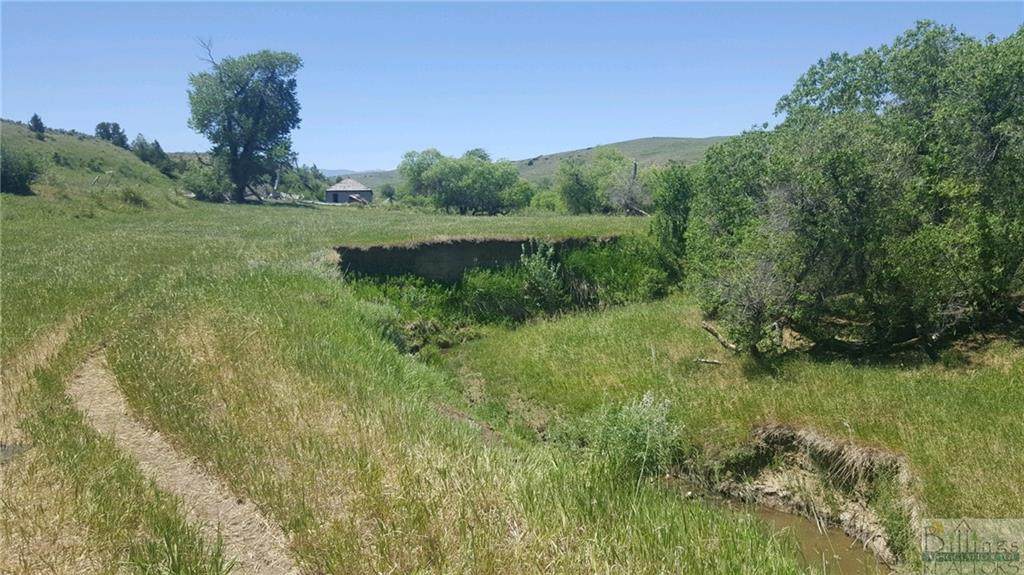 000 Elbow Creek Road - Photo 1