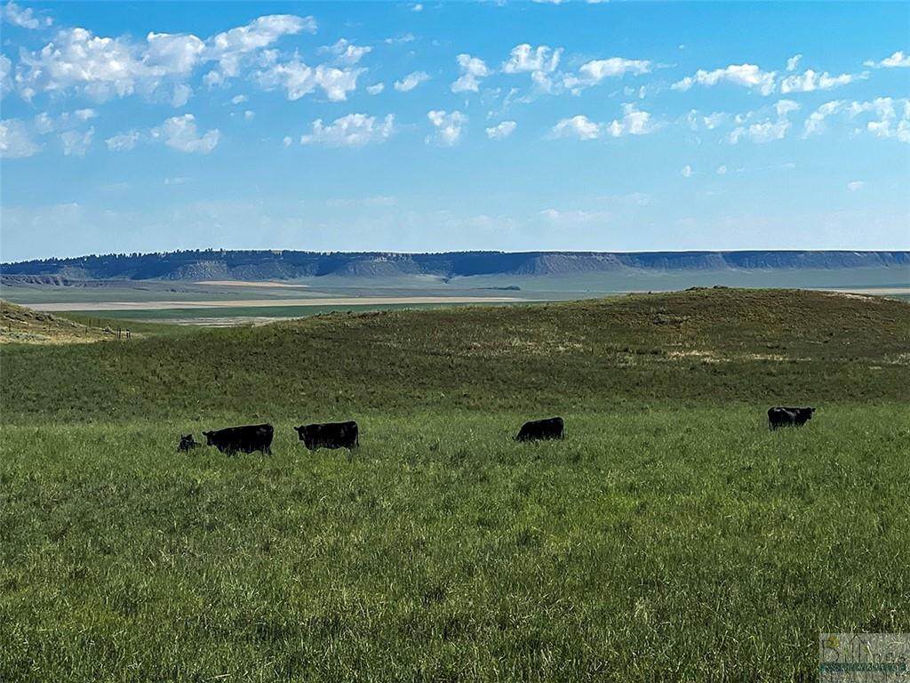 2,052 Acres Rapelje/Molt Rd - Photo 1